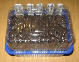Minipařeniště